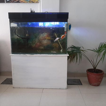 Hotel Lake N Yeti Pokhara Kültér fotó