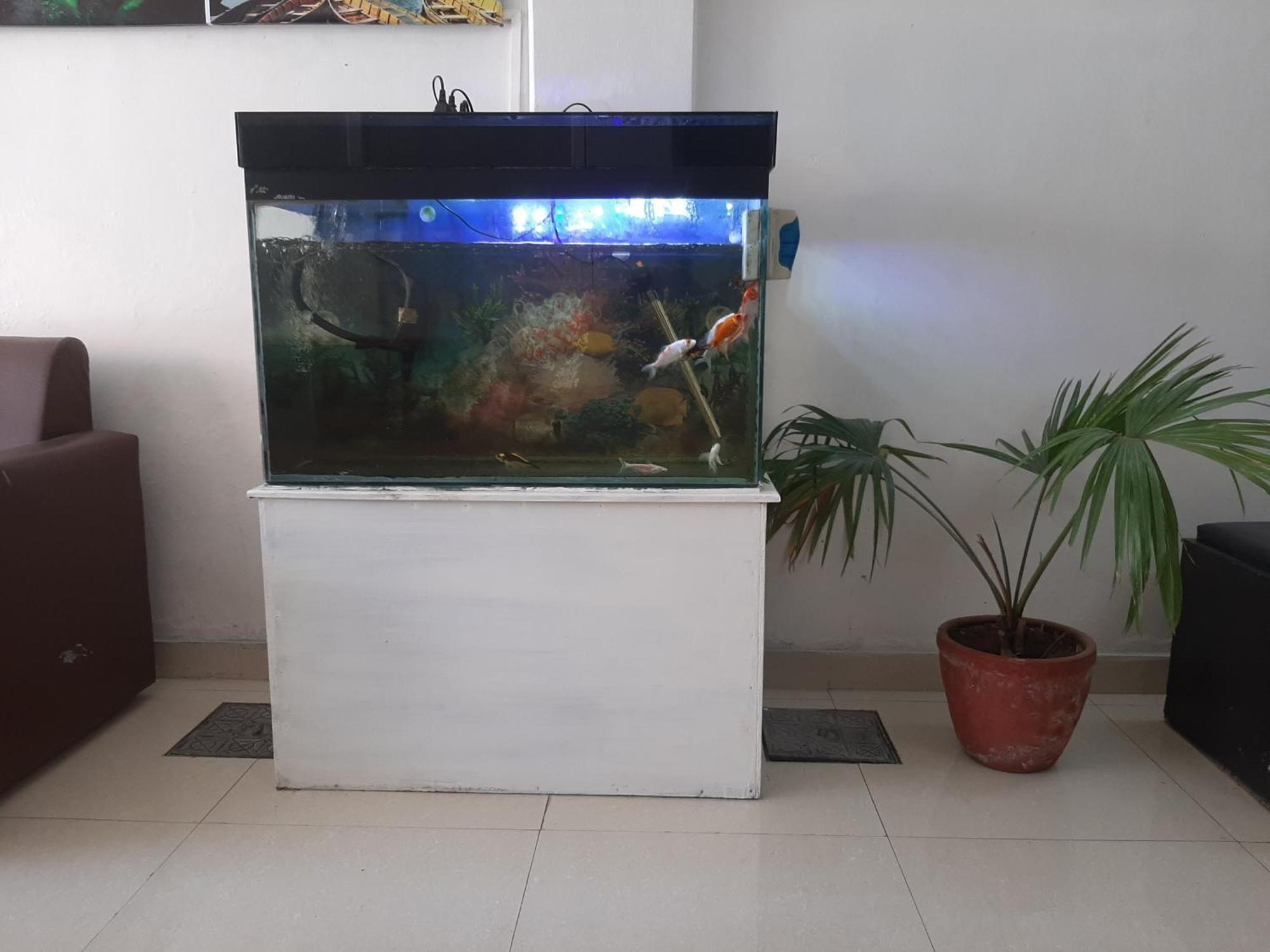 Hotel Lake N Yeti Pokhara Kültér fotó